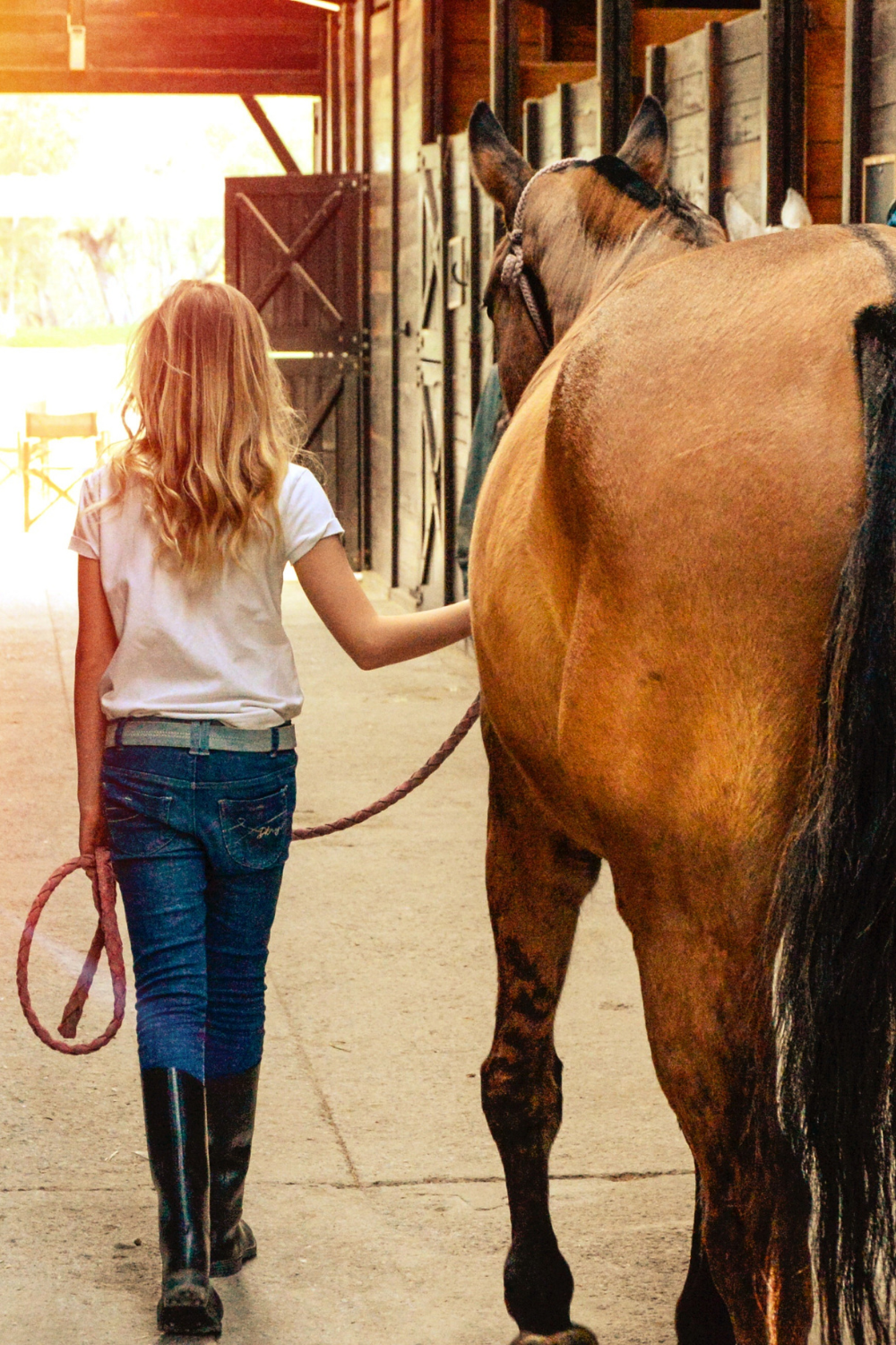 girl leading a horse