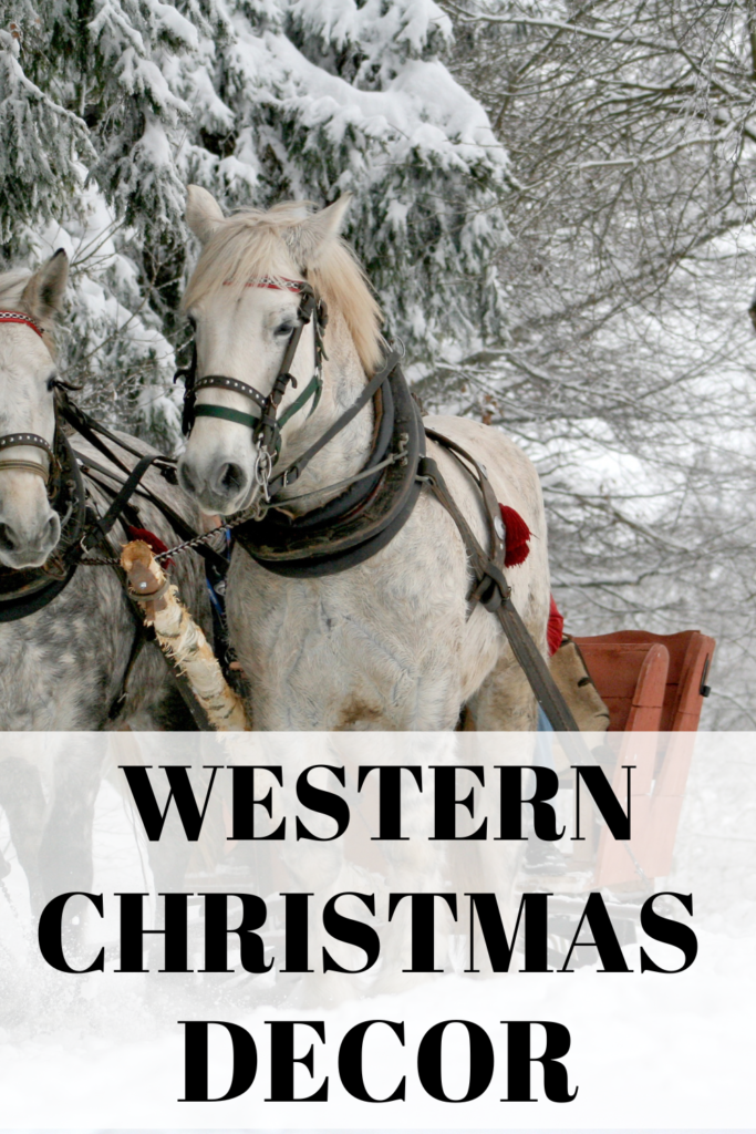 western Christmas decor