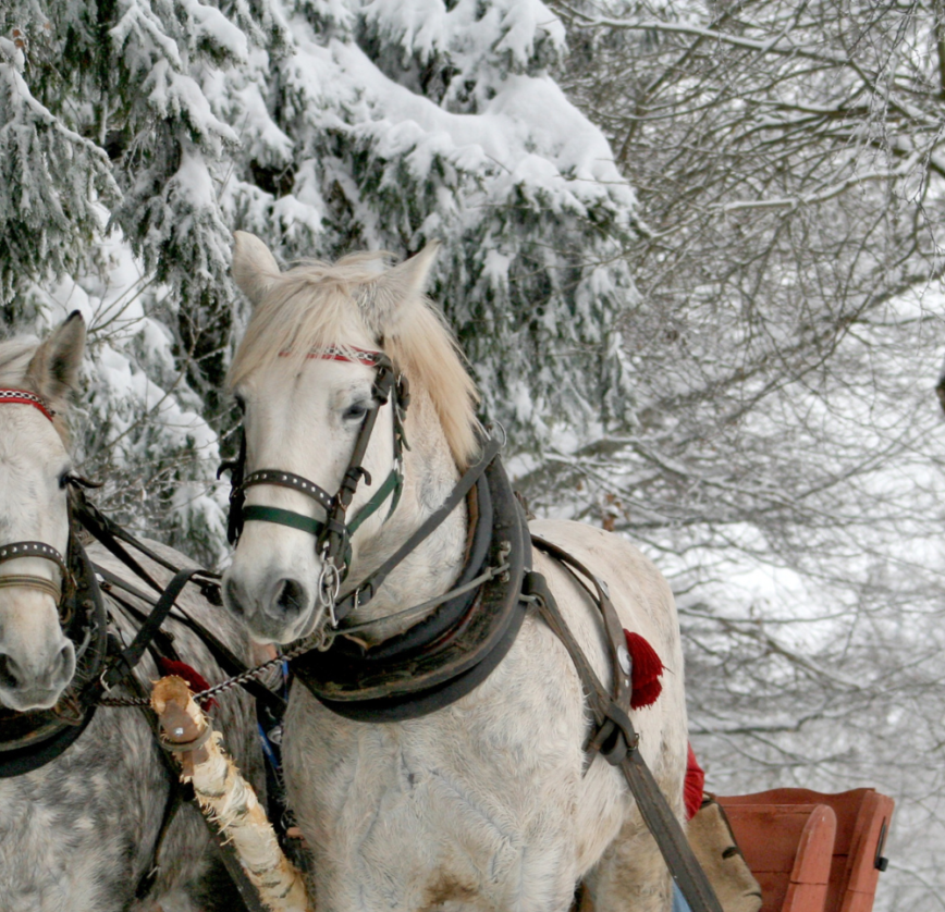 western Christmas decor