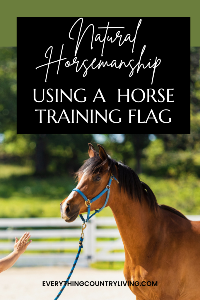 horse training flag