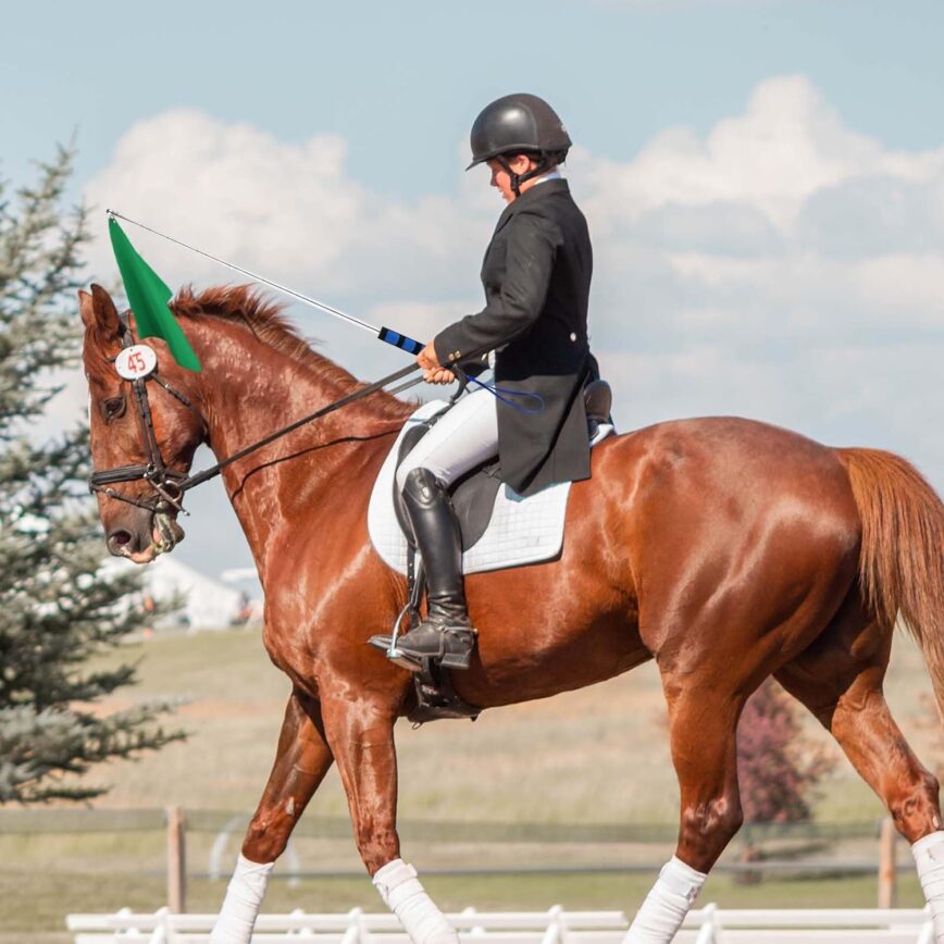 horse training flag