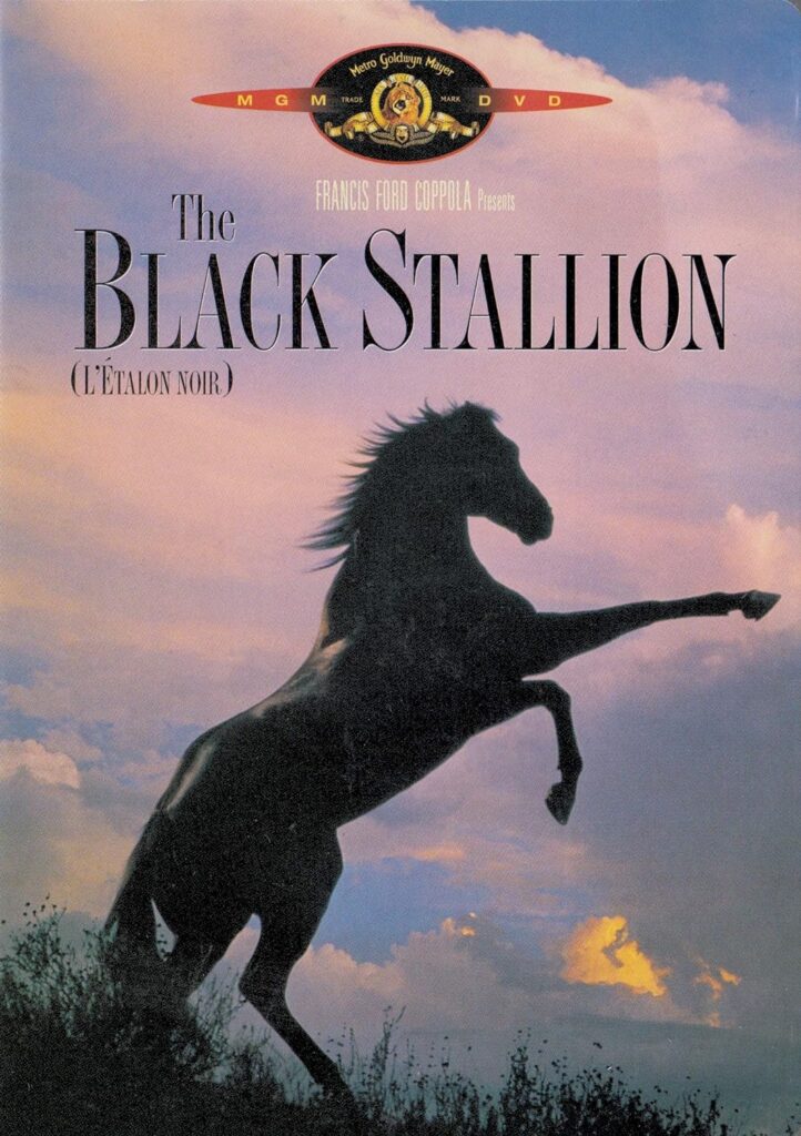 the black stallion movie with horses
