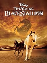 the young black stallion movie