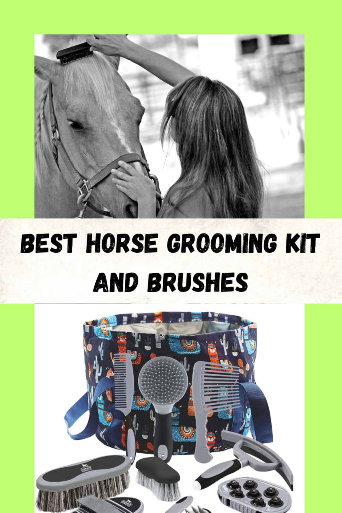 Best Grooming Kit for Horses