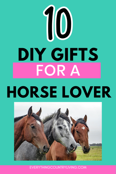 DIY gifts for a horse lover