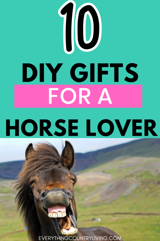 picture reads: 10 DIY gifts for a horse lover