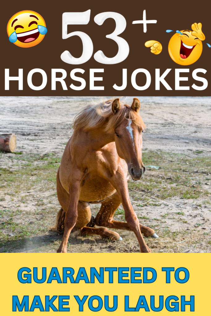 Kids horse jokes