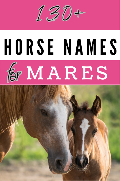 horse names for mares