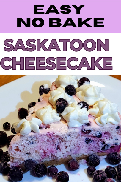 Saskatoon cheesecake recipe