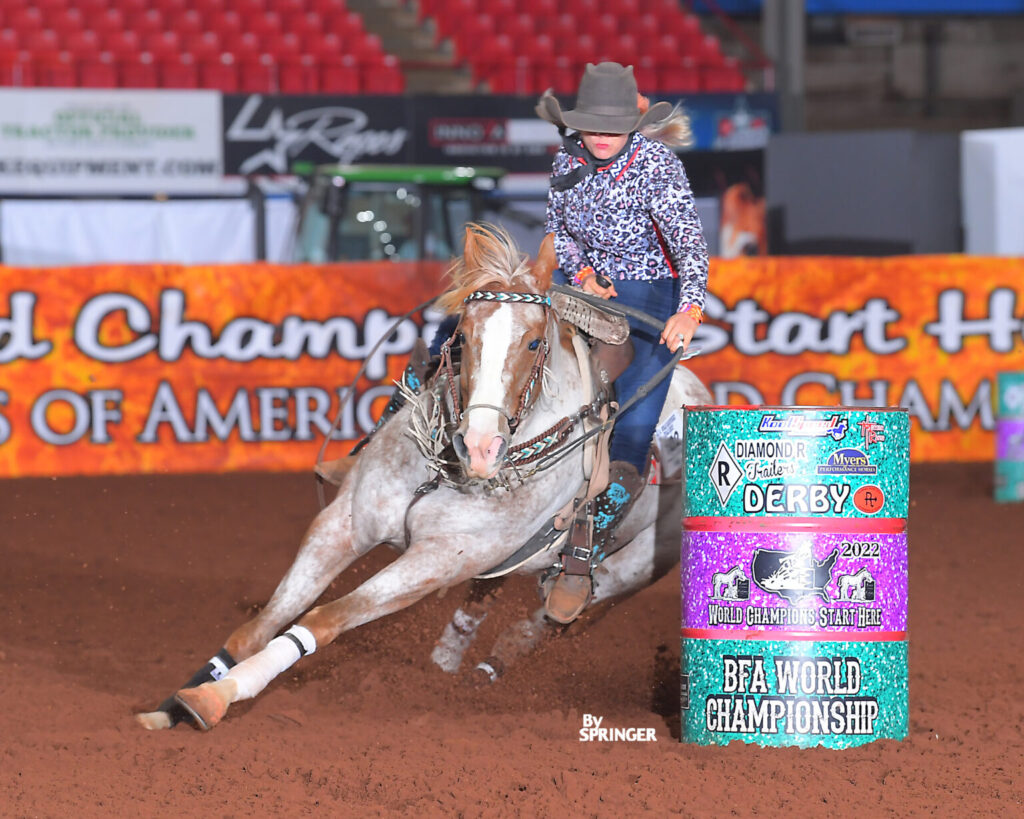 Best Horse Breeds for Barrel Racing the Appaloosa 
