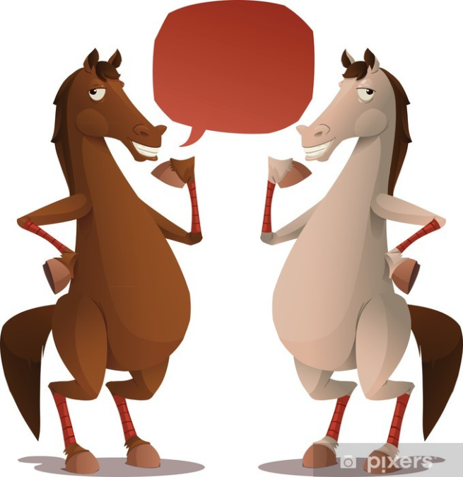 Horse Jokes for Kids Guaranteed to Make You Laugh!