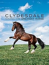 best horse documentaries Clydesdale saving the greatest horse