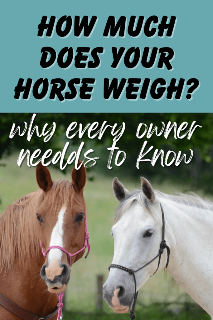 how much does a horse weigh with a picture of two horses