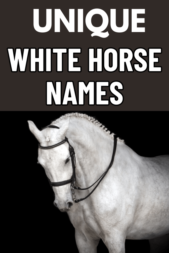 white horse names