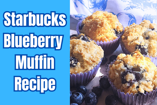 blueberry muffin recipe starbucks