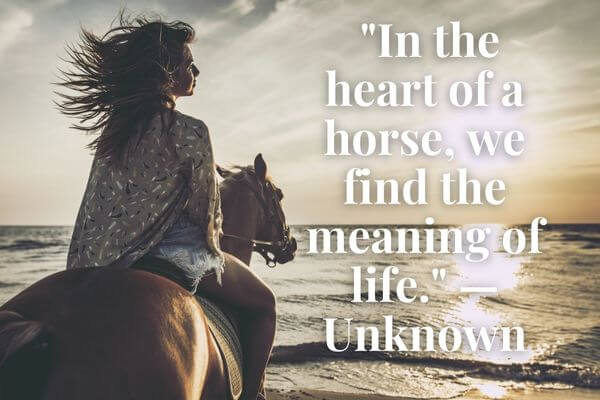 riding a horse on the beach with a horse quote on the picture