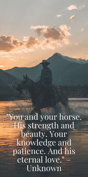 uplifting inspirational horse quotes man riding a horse in the water by the mountains