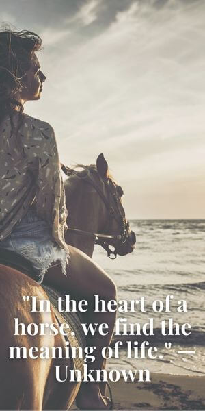 uplifting inspirational horse quotes riding a horse on the beach