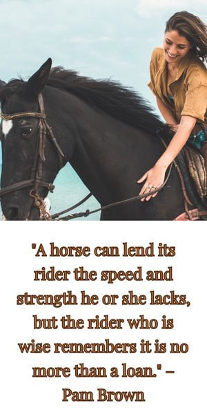 uplifting inspirational horse quotes girl riding and petting a black horse