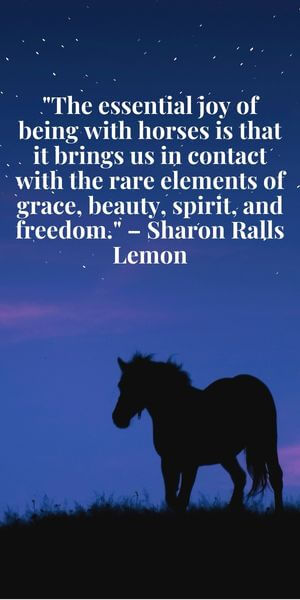 uplifting inspirational horse quotes horse silouette