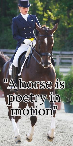 uplifting inspirational horse quotes lady doing dressage