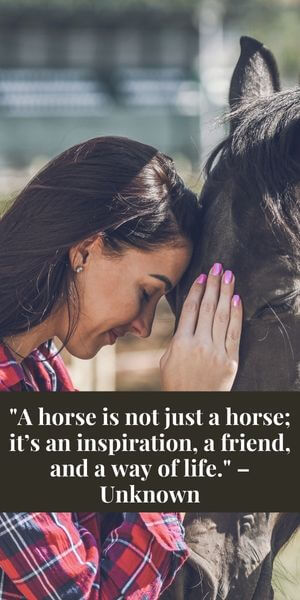 uplifting inspirational horse quotes lady with her head next to her horses head