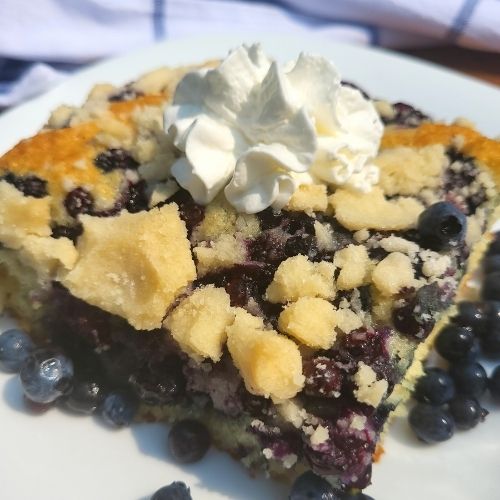 blueberry cake slice on a plate