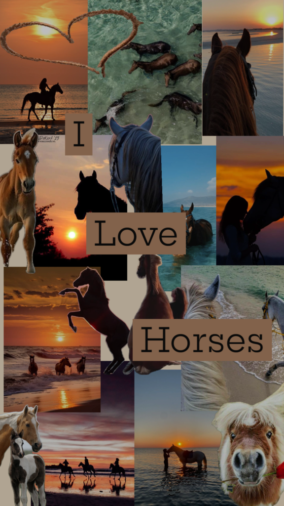 horse collage