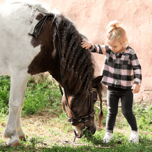 little girl petting a horse and showing it love