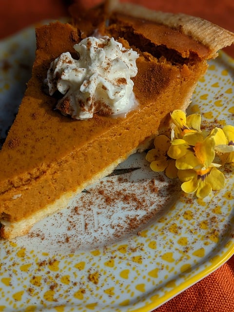 best pumpkin pie sitting on a plate with whipped cream on top