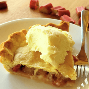 a piece of rhubarb pie on a plate with ice cream