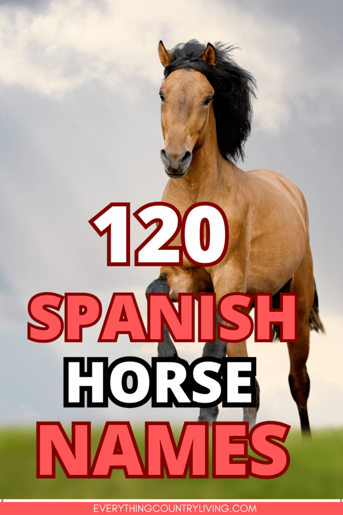 Pinterest pin of Spanish horse names