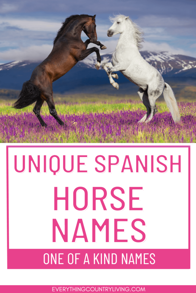 Pinterest pin of Spanish horse names