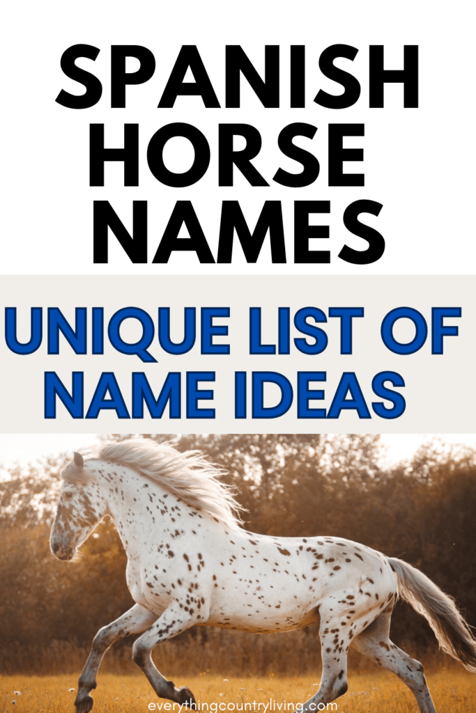 Pinterest pin of Spanish horse names