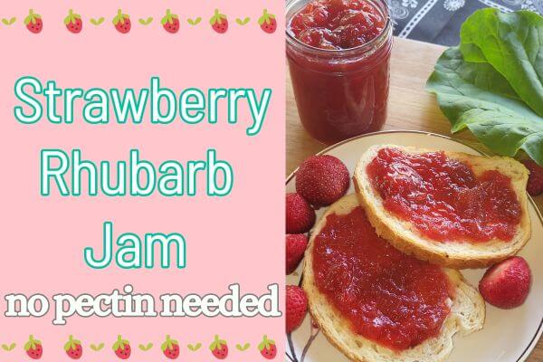 strawberry rhubarb jam in a jar and spread on toast