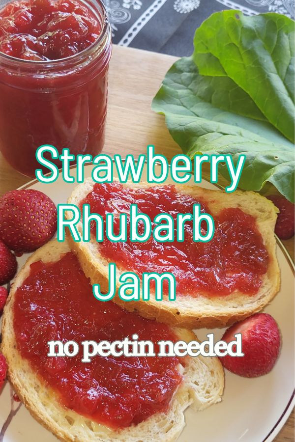 rhubarb strawberry jam