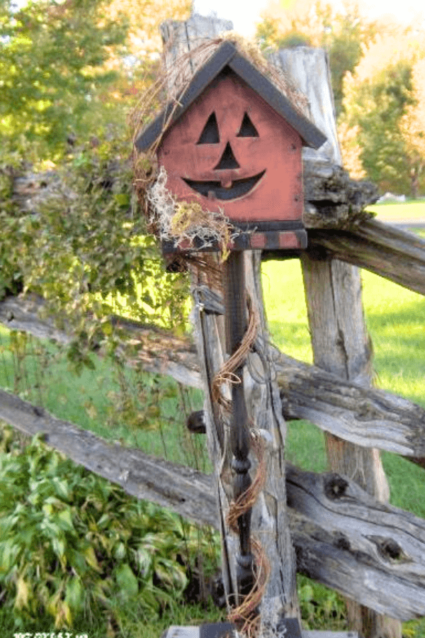 pumpkin bird house 