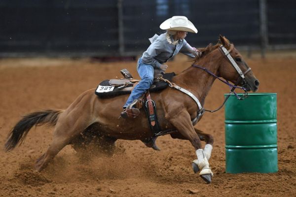 quarter horse barrel racing