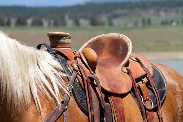 western saddle