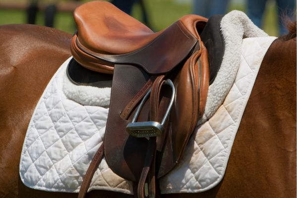 English equestrian saddle