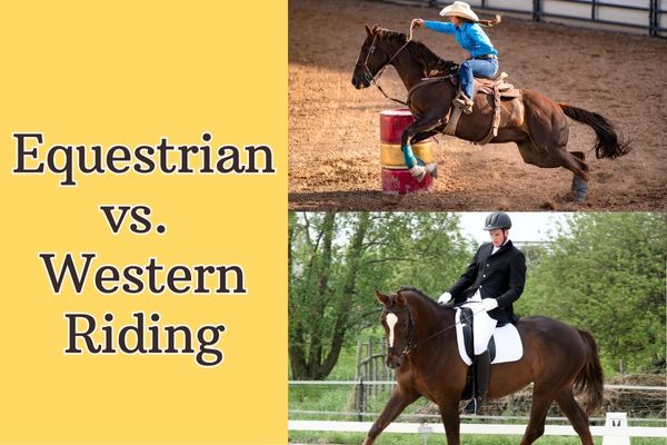 equestrian vs western riding