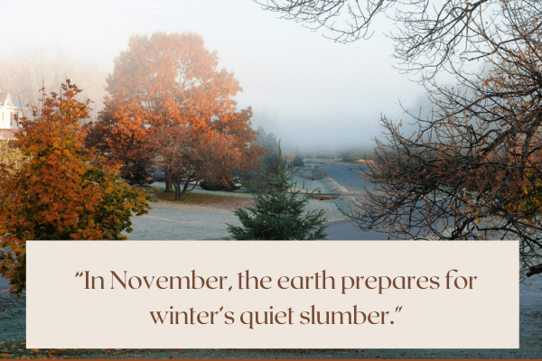 november quotes and poems