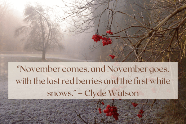 november sayings