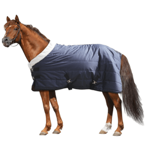 winter horse blanket