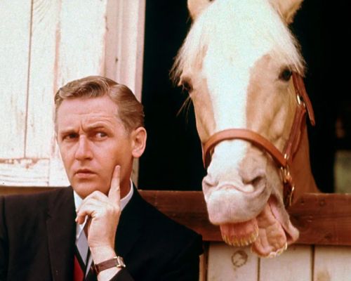 Alan Young on 'Mr. Ed